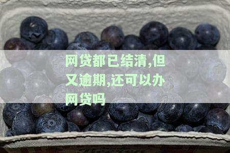 网贷逾期结清后能否再次贷款？解决方法探讨