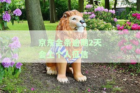 京东金条逾期2天会上个人征信