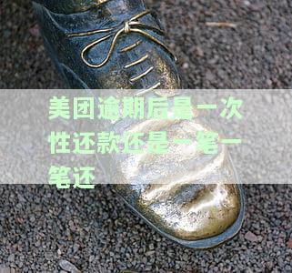 美团逾期后要求一次性付清是真的吗，美团逾期后是否需要一次性付清？真相大揭秘！