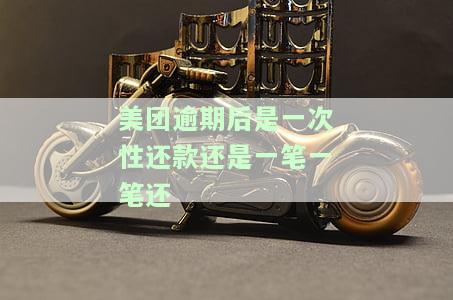 美团逾期还完了剩下的钱要一次性结清，美团提醒：逾期还款后，剩余金额需一次性结清