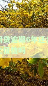 网贷逾期6年是否会被起诉？了解最新规定与立案门槛