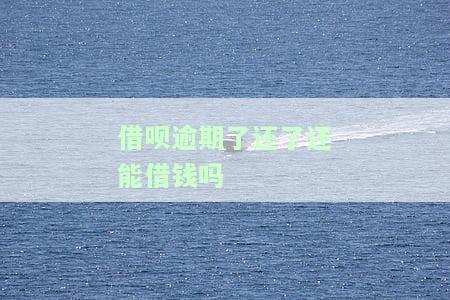 借呗逾期了还了还能借钱吗怎么办，借呗逾期还款后，能否再次借款？解决方案解析