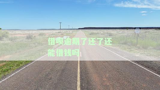 借呗逾期还款后能否再次借款？详解解决方案
