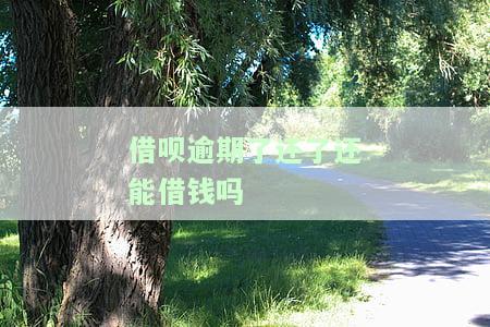 借呗逾期后还款能否再次借款？知乎用户分享经验