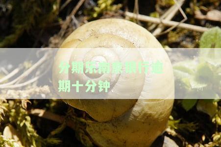分期乐逾期交给银行处理大概要多久，了解分期乐逾期处理流程：银行介入需要多长时间？