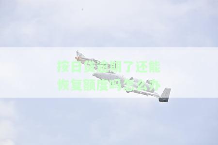 按日贷逾期了还能恢复额度吗怎么办理，按日贷逾期后如何恢复额度？步骤解析