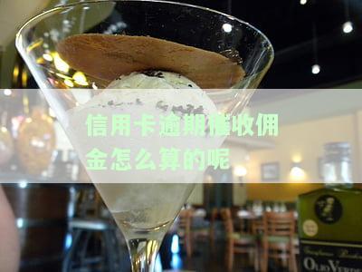 2020年信用卡催收规定，深入了解2020年信用卡催收规定，保障自身权益