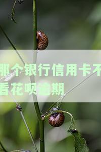 哪个银行信用卡不看花呗逾期记录？不看征信查询次数的又是哪家银行？