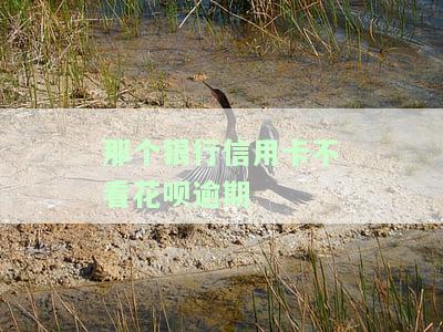 哪个银行的信用卡不看网贷记录？请看这里！