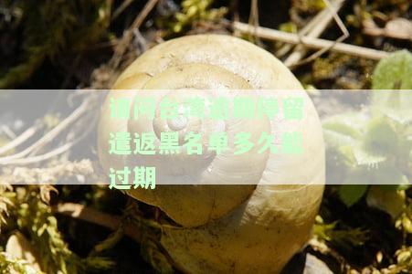 请问台湾逾期停留遣返黑名单多久能过期-请问台湾逾期停留遣返黑名单多久能过期