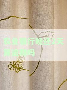 农业银行晚还2天算逾期吗？如何避免逾期罚款？
