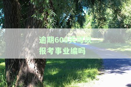 逾期600天可以报考事业编吗请问，咨询：逾期600天是否还能报考事业编？