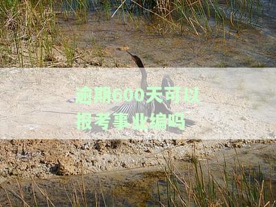 逾期一次会影响考事业编吗，逾期一次是否会影响考事业编？