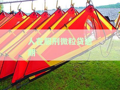 人在服刑微粒贷逾期会怎么样，服刑人员的微粒贷逾期问题：会产生什么后果？