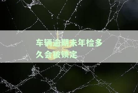 车辆逾期未年检对车主有影响吗，车辆逾期未年检：这对车主有何影响？