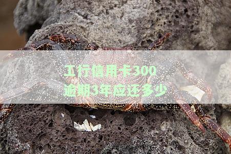 工行信用卡300逾期3年应还多少利息？
