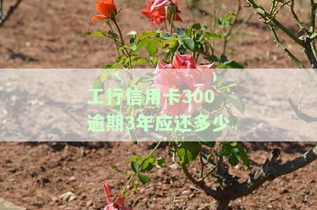工行信用卡300逾期3年应还多少-工行信用卡300逾期3年应还多少利息