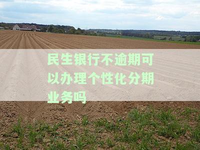 民生银行逾期了申请不了个性化分期，民生银行逾期未还，无法申请个性化分期