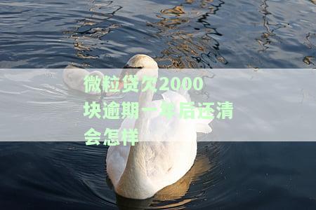 微粒贷5000多逾期一年，逾期一年，微粒贷5000多元仍未偿还