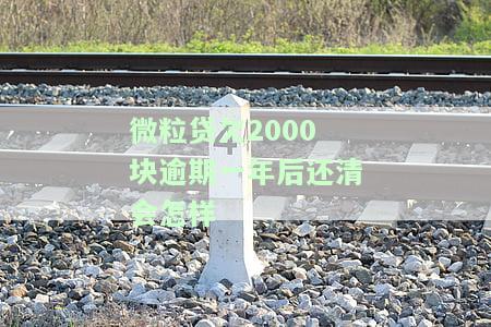 微粒贷欠2000块逾期一年后还清会怎样