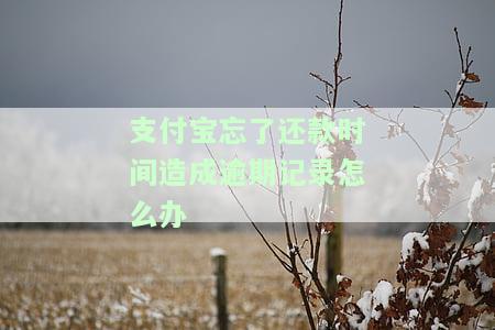 支付宝忘了还款时间造成逾期记录怎么办呢，忘记还款时间导致支付宝逾期，如何解决逾期记录？