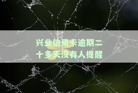 兴业信用卡逾期二十多天无人提醒，会否上门催收？