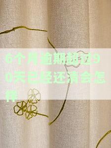 有6个月逾期，已还清部分，仍有其他贷款，能否贷款买房？逾期超过90天影响大吗？