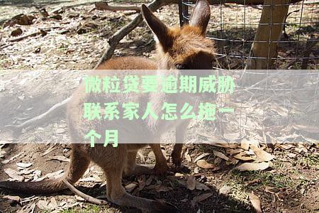 微粒贷逾期14天说要联系亲朋好友，警惕！微粒贷逾期14天，或将联系你的亲朋好友