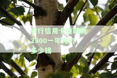 农行信用卡逾期费2500一年利息多少？2000逾期该如何处理？