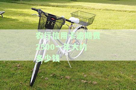 农行信用卡逾期费2500一年大约多少钱-农行信用卡逾期费2500一年大约多少钱啊