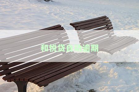 如何处理和悦贷自动逾期？详细步骤解析