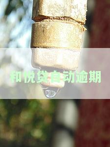 和悦贷还不了款，急需解决：如何应对和悦贷无法偿还的情况？
