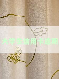 大学生信用卡逾期是否会影响学业？——知乎热议