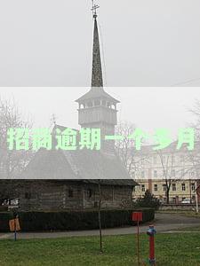 招商逾期一个多月怎么办？是否会被起诉？