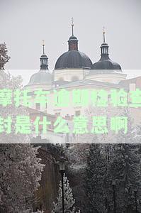 摩托车逾期检验查封是什么意思啊-摩托车逾期检验查封是什么意思啊怎么办