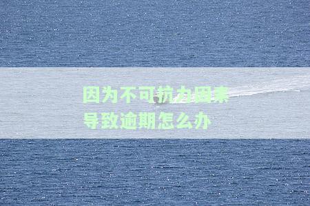因不可抗力逾期还款：处理方法及后果
