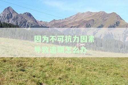 因为不可抗力因素导致逾期怎么办