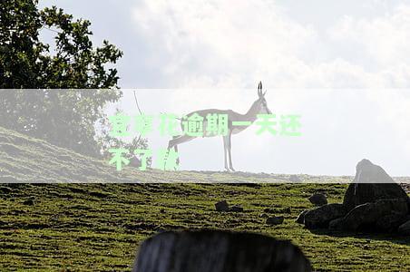 宜享花逾期一天就上征信吗？有三天宽限期吗？2023年最新规定