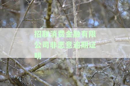 征信上显示招联消费金融，如何查看并管理您的招联消费金融征信记录？