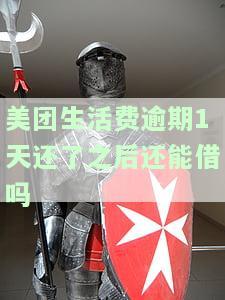 美团生活费逾期几天还了还可以再借吗，美团生活费逾期还款后，能否再次借款？