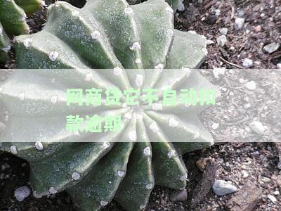 网商贷未自动扣款导致逾期，如何解决?