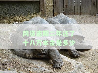 18万网贷逾期2年需偿还多少总金额？包括利息与费用。