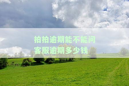 拍拍逾期能不能问客服逾期多少钱-拍拍逾期能不能问客服逾期多少钱呢