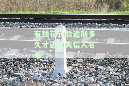 有钱花逾期多久会被起诉？详细解析与成功案例