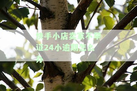 快手小店卖家不举证24小逾期怎么办呀，快手小店卖家逾期未举证，如何解决？