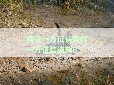 买房双方征信贷款一方逾期可以过吗，购房过程中，一方征信逾期是否会影响双方贷款申请？