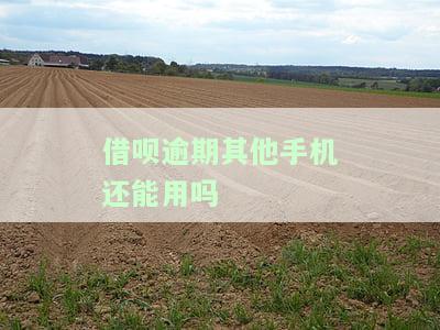 借呗逾期后，其他手机能否继续使用？安全可靠性如何？
