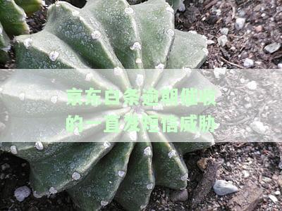 逾期催收的一直发短信威胁是真的吗，真相揭示：逾期催收是否真的会发送短信威胁？