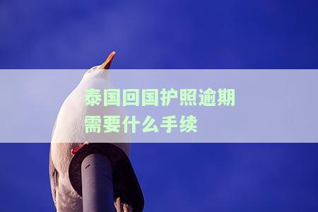 在泰国护照过期后，如何合法回国？详细步骤与注意事