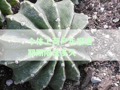 个体年报逾期解决办法：工商户年报逾期、经营异常如何处理？